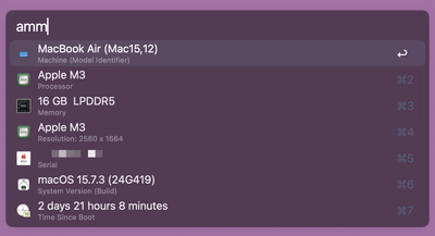 Capture d'écran du workflow About This Mac